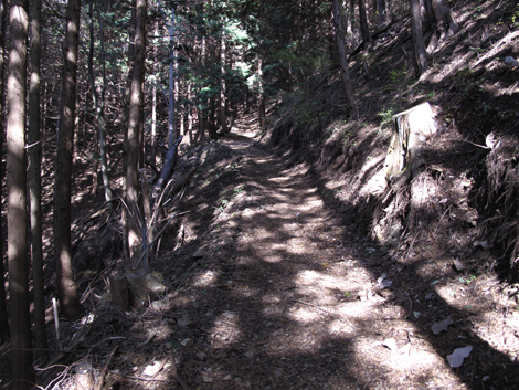 20161117hike (51)